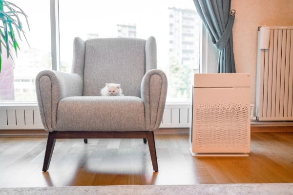 Indoor Air Quality Services